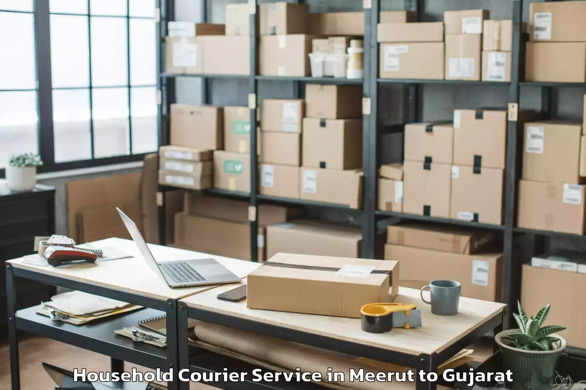 Reliable Meerut to Sardar Patel University Vallab Household Courier